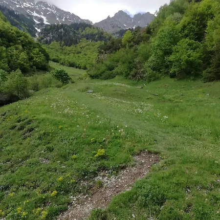Haus Georg * Innsbruck
